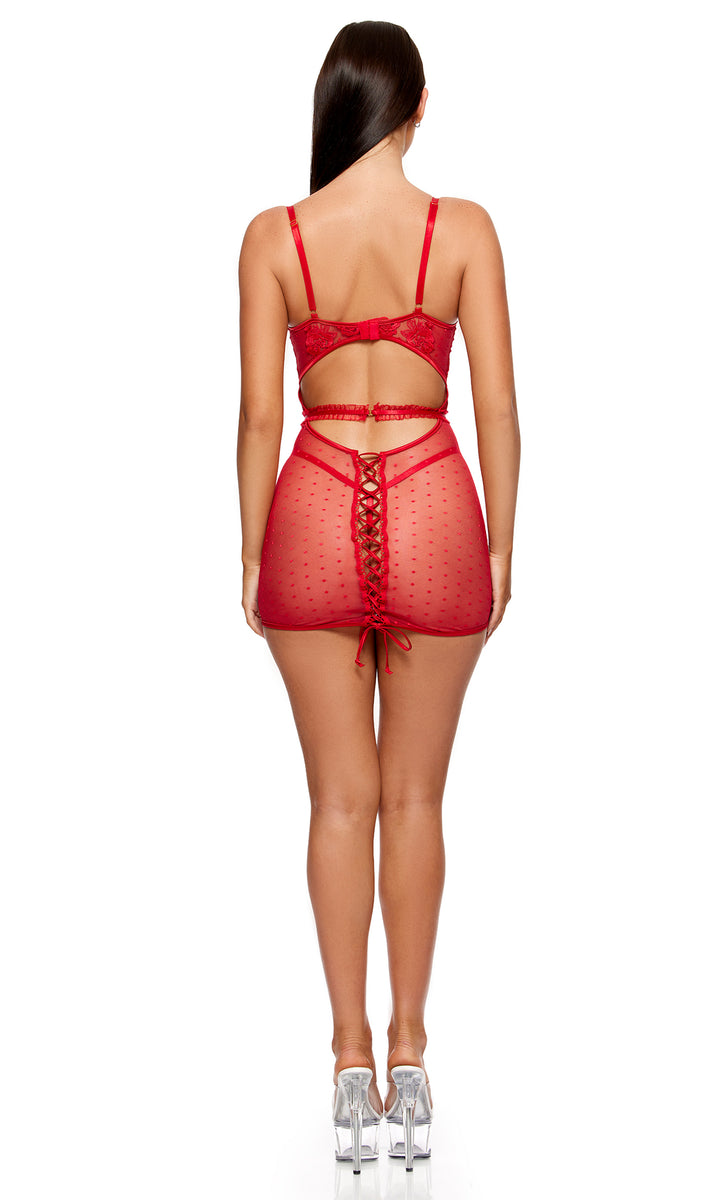 La Vie en Rose Metallic Embroidered Chemise Set